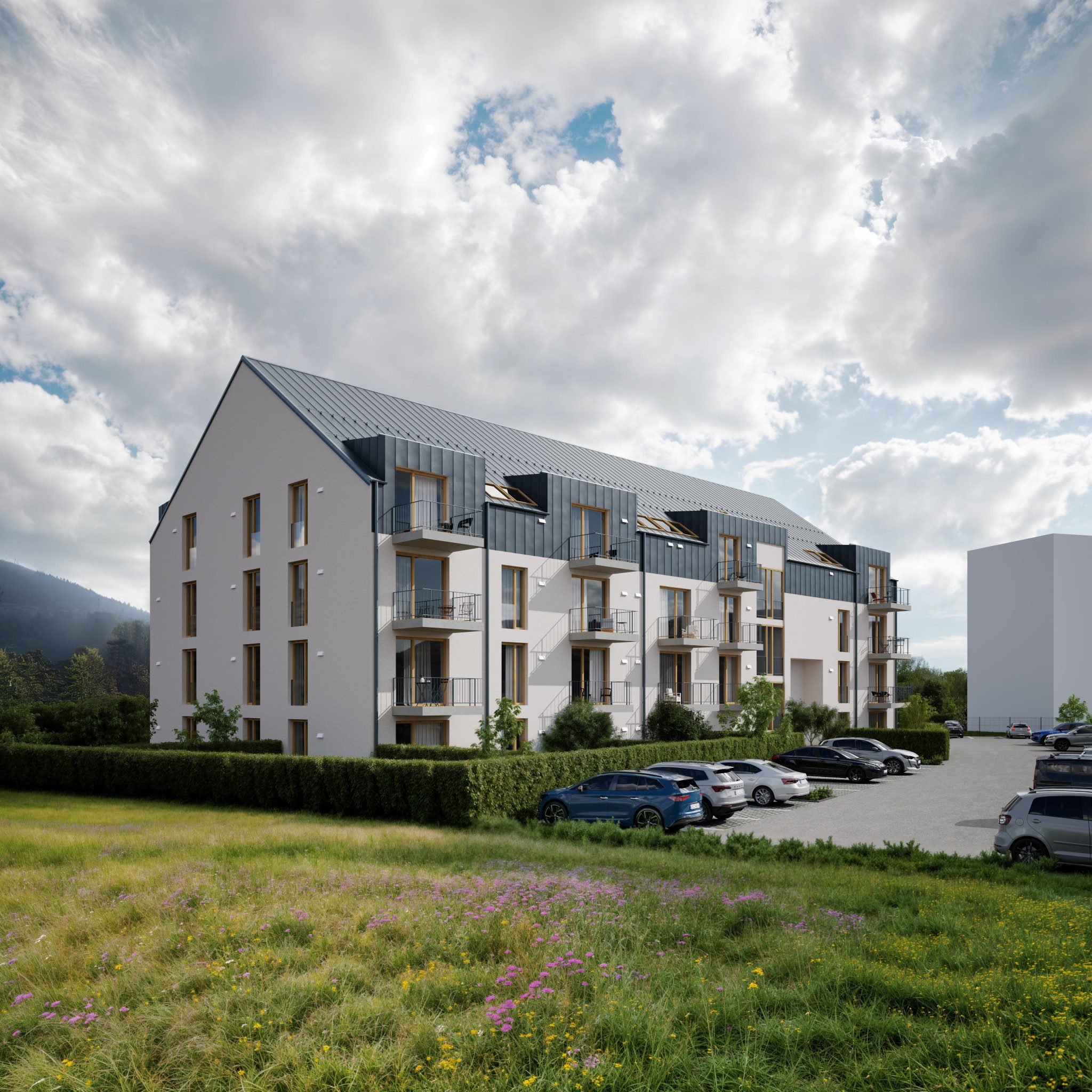 RB RENOVATIO / TŘEMOŠNICE