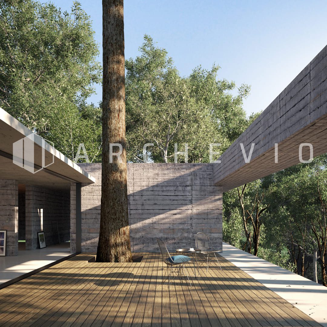 Forest tree terrace