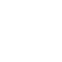 DOLFIN REAL ESTATE LOGO – Archevio